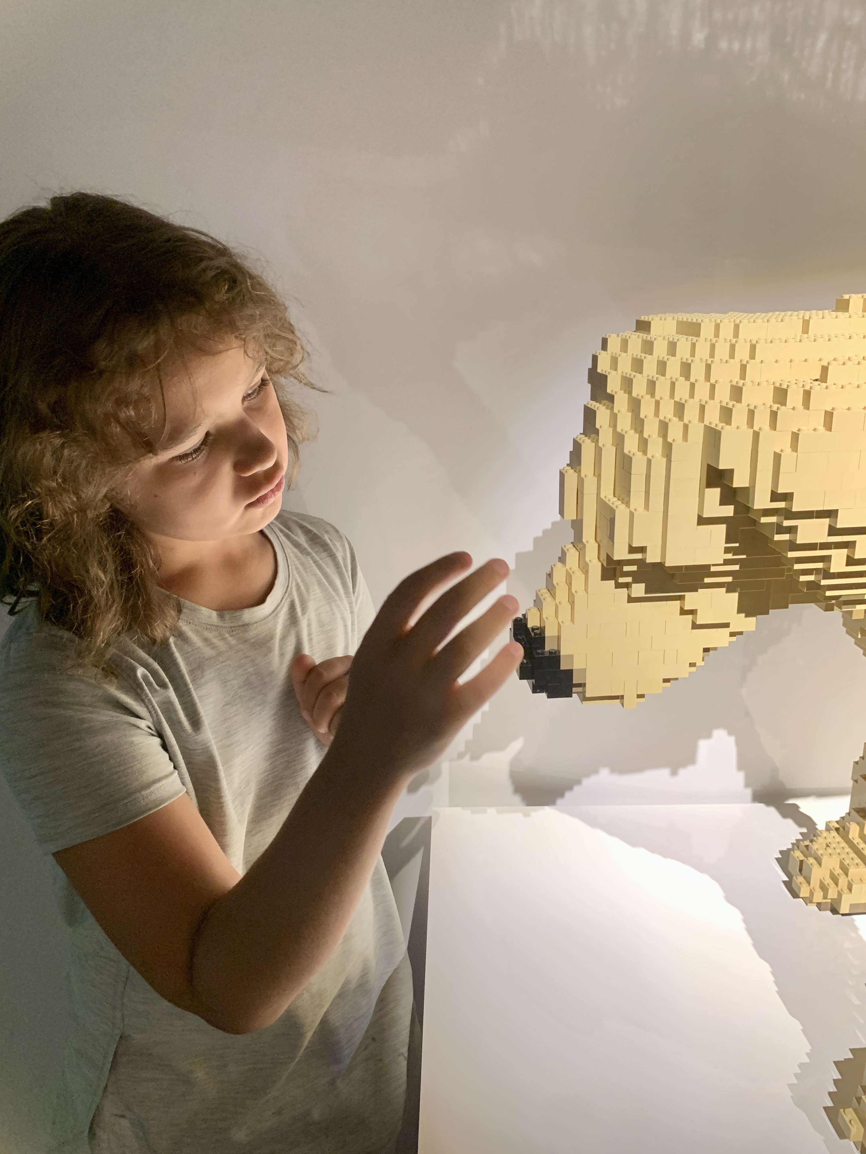 Lego Exhibit